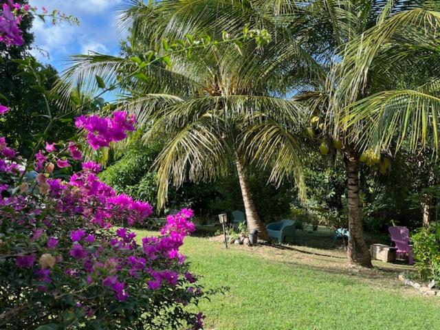 Jardin Des Anges-Bungalows Creoles Et Studio Le Moule Exterior foto